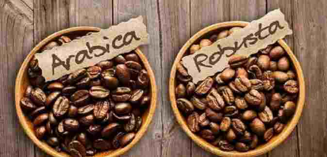 các loại hạt cà phê