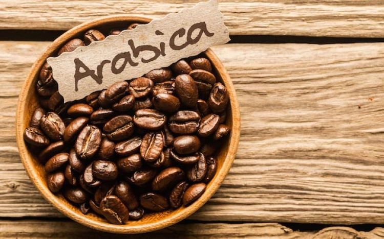 Arabica Tinh Hoa Cà Phê Tây Nguyên
